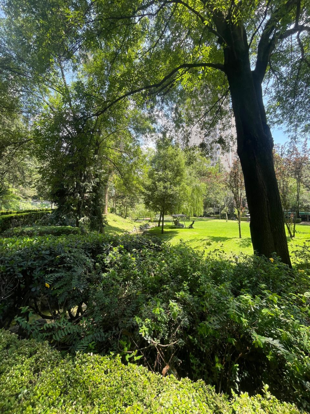 Departamento En Venta En Lomas De Las Palmas | Frondoso 1