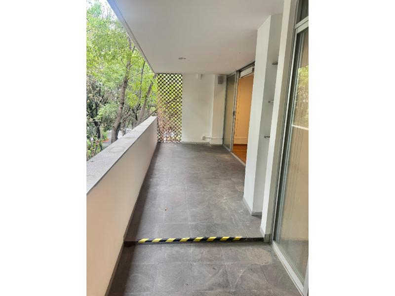 ámsterdam: la vista verde en la condesa que todos desean.