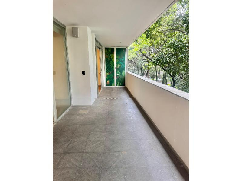 ámsterdam: la vista verde en la condesa que todos desean.