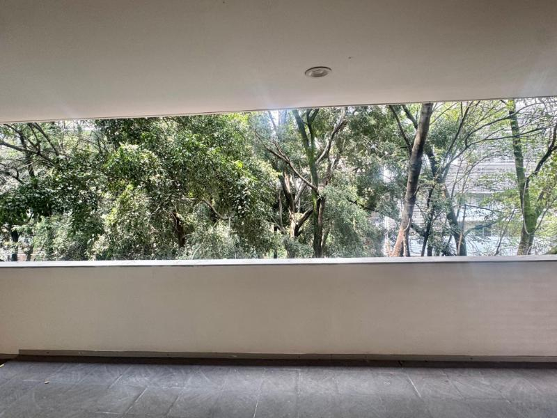 ámsterdam: la vista verde en la condesa que todos desean.