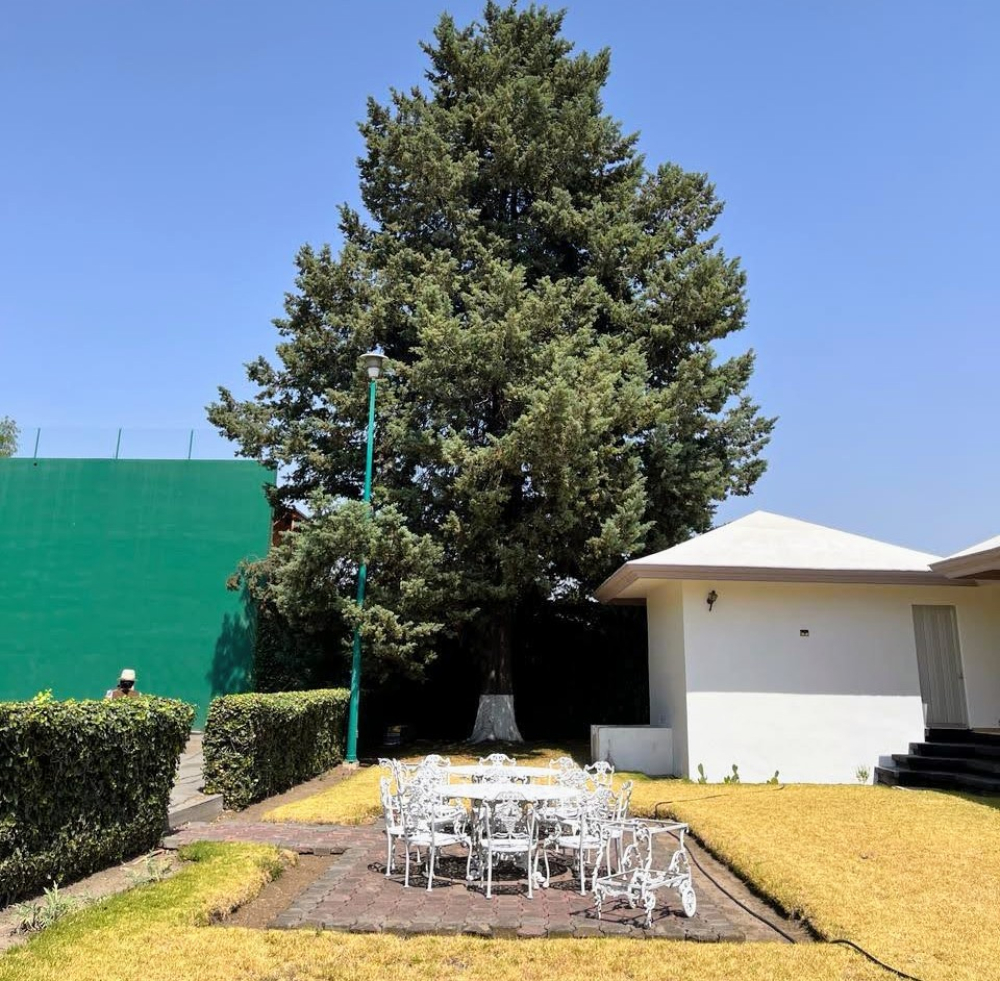 Casa En Venta En Chiautla 