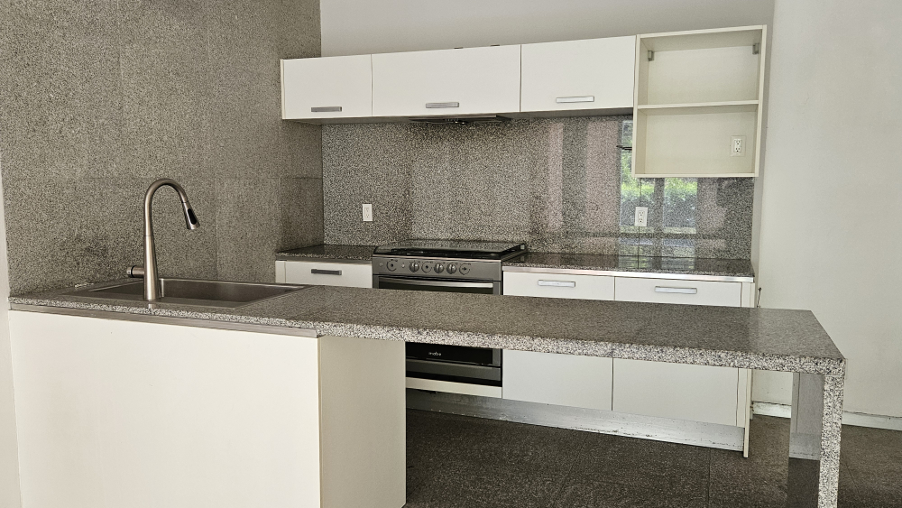 departamento en venta en san josé insurgentes