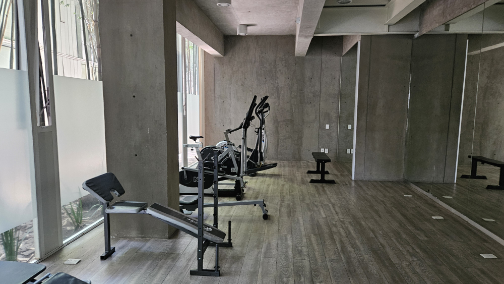 departamento en venta en san josé insurgentes