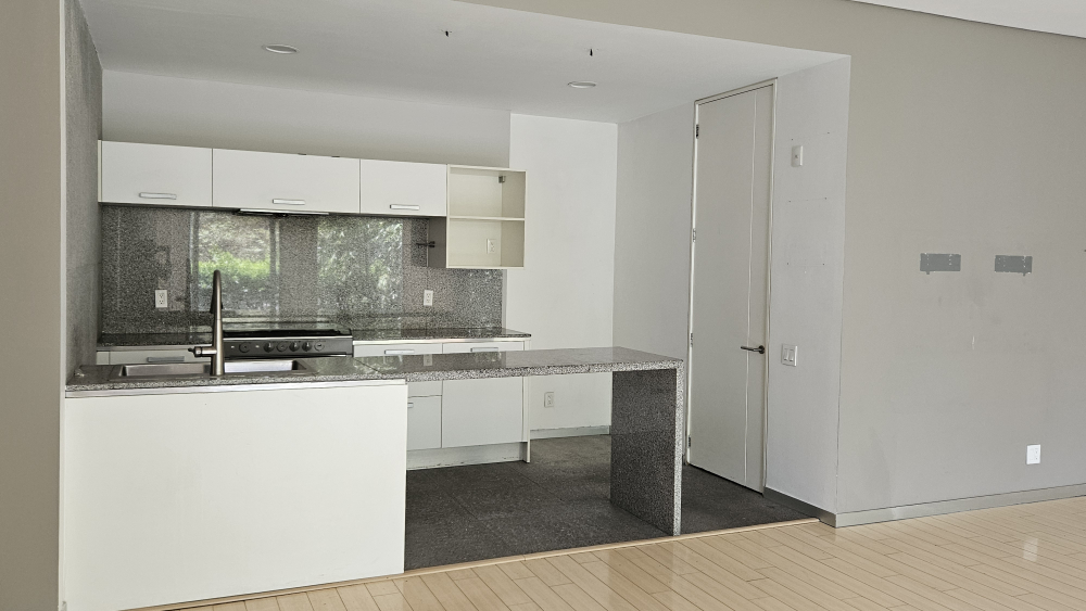 departamento en venta en san josé insurgentes