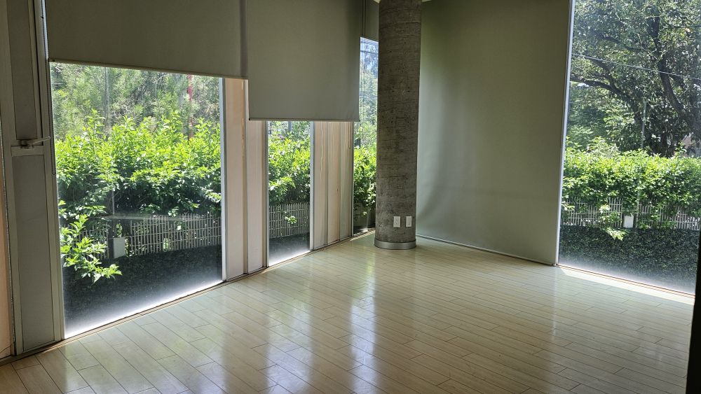 departamento en venta en san josé insurgentes