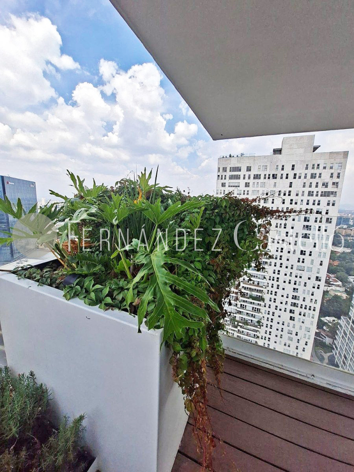 renta departamento, icon beyon, a estrenar
