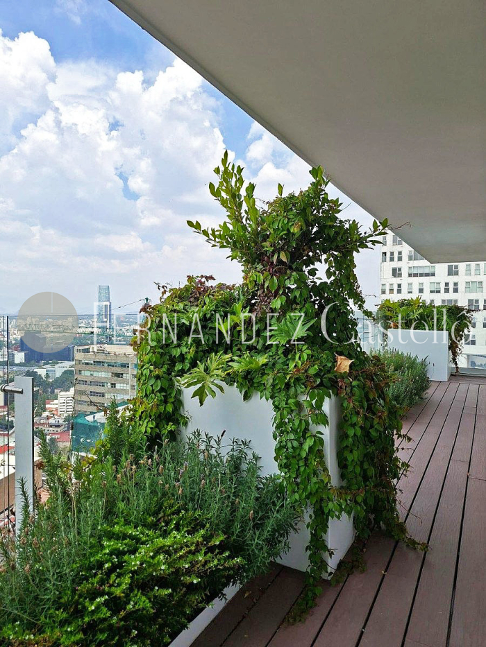 renta departamento, icon beyon, a estrenar