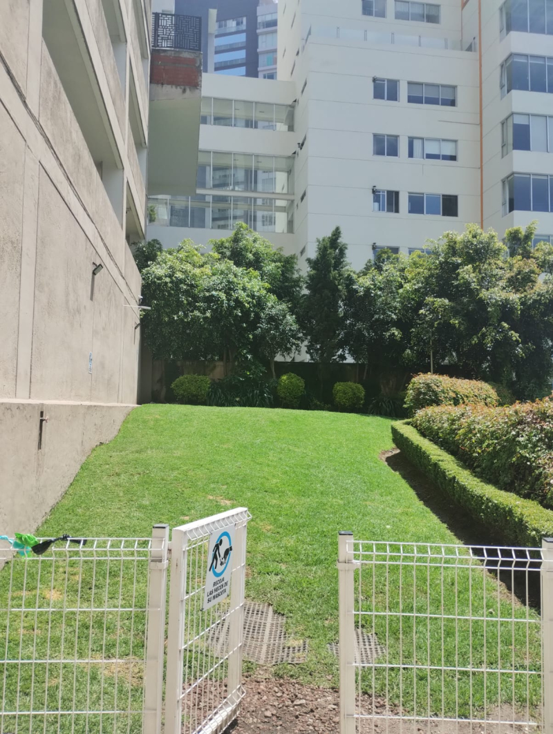 departamento en renta en 