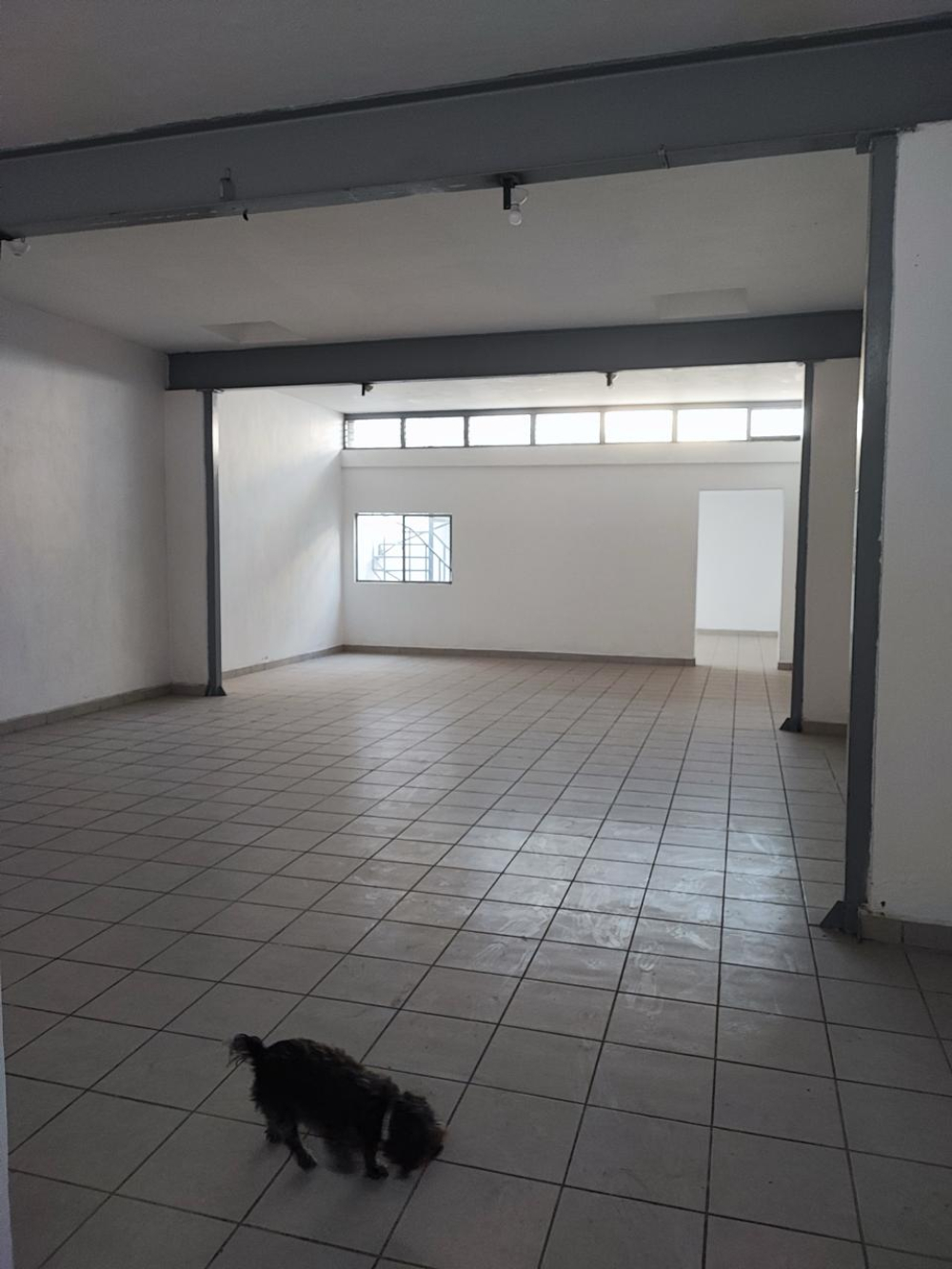 casa en venta en circunvalación belisario