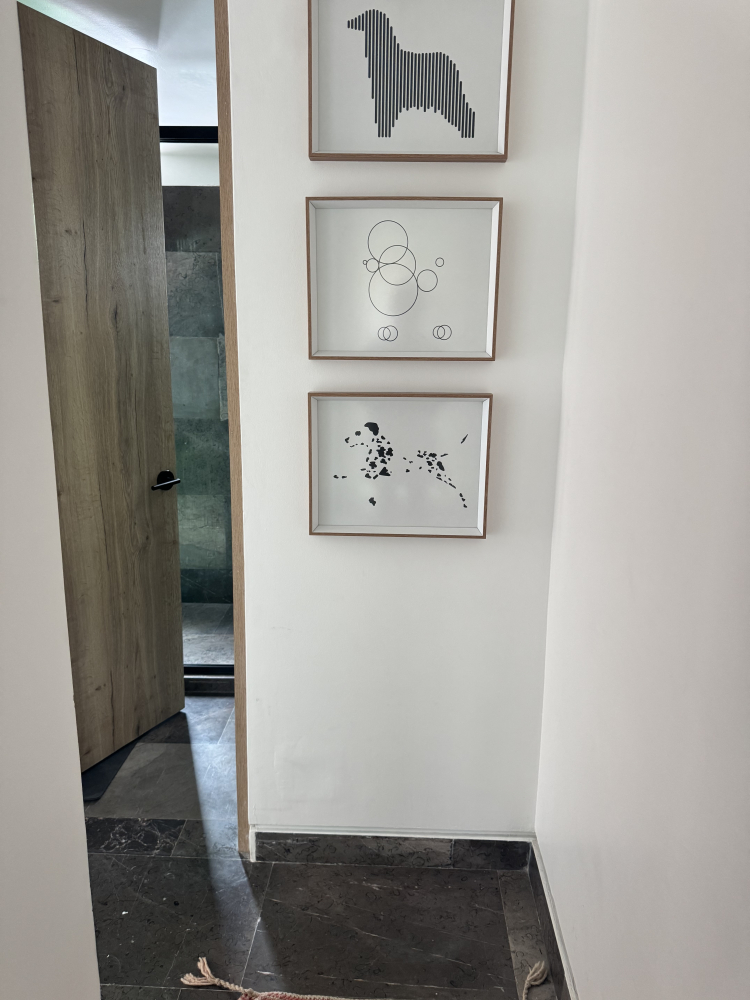 Renta Departamento En La Roma Norte 