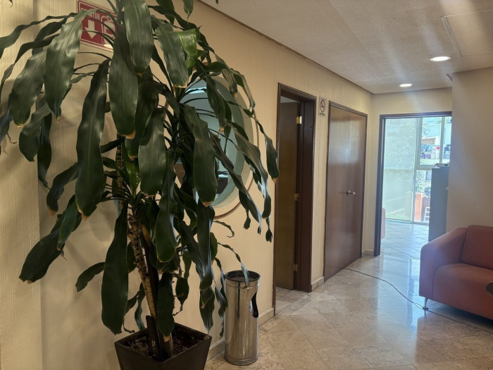 *** oportunidad*** oficina renta en coyoacan