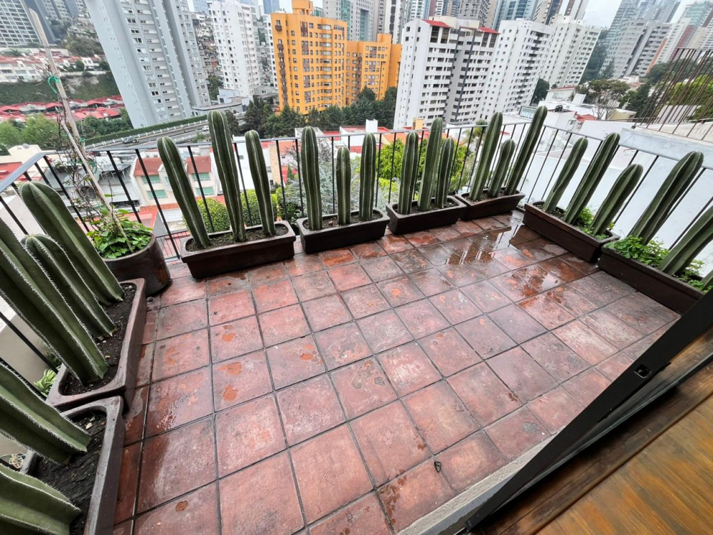 Casa En Venta En Hacienda De Las Palmas