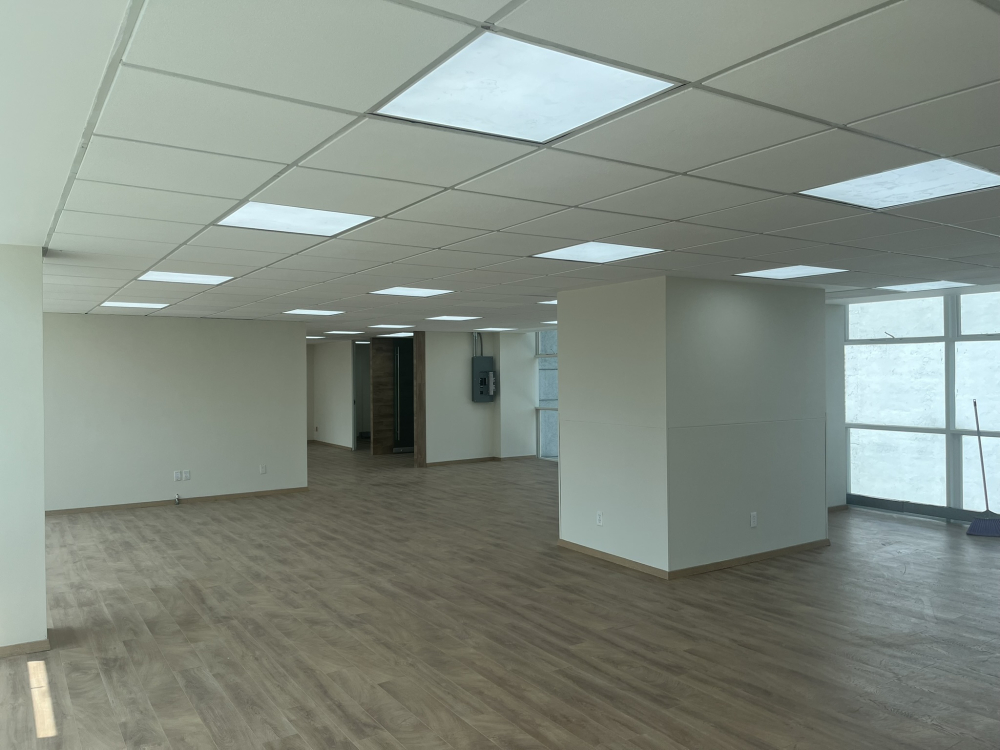 oficinas en renta herschel anzures 230 m2