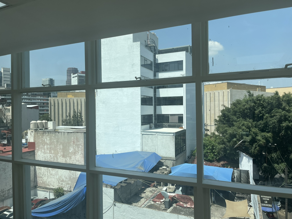 oficinas en renta herschel anzures 230 m2