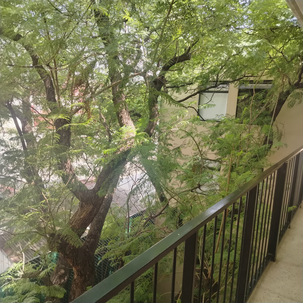 departamento en renta en san bernabe, azcapotzalco