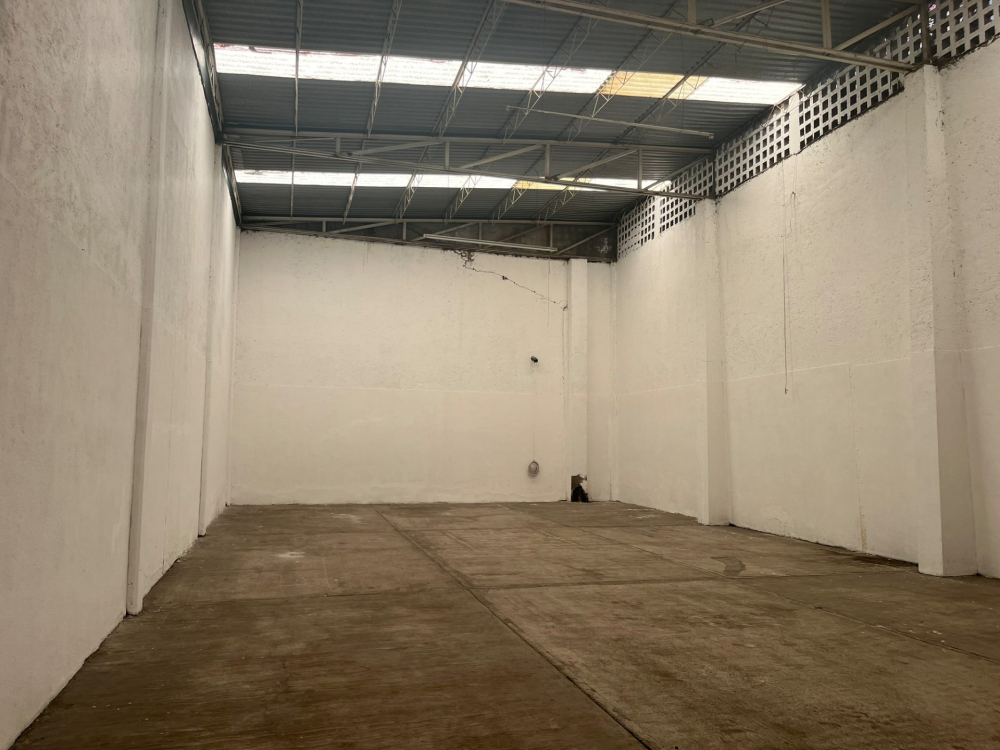 Bodega En Renta Lago Wetter Pensil