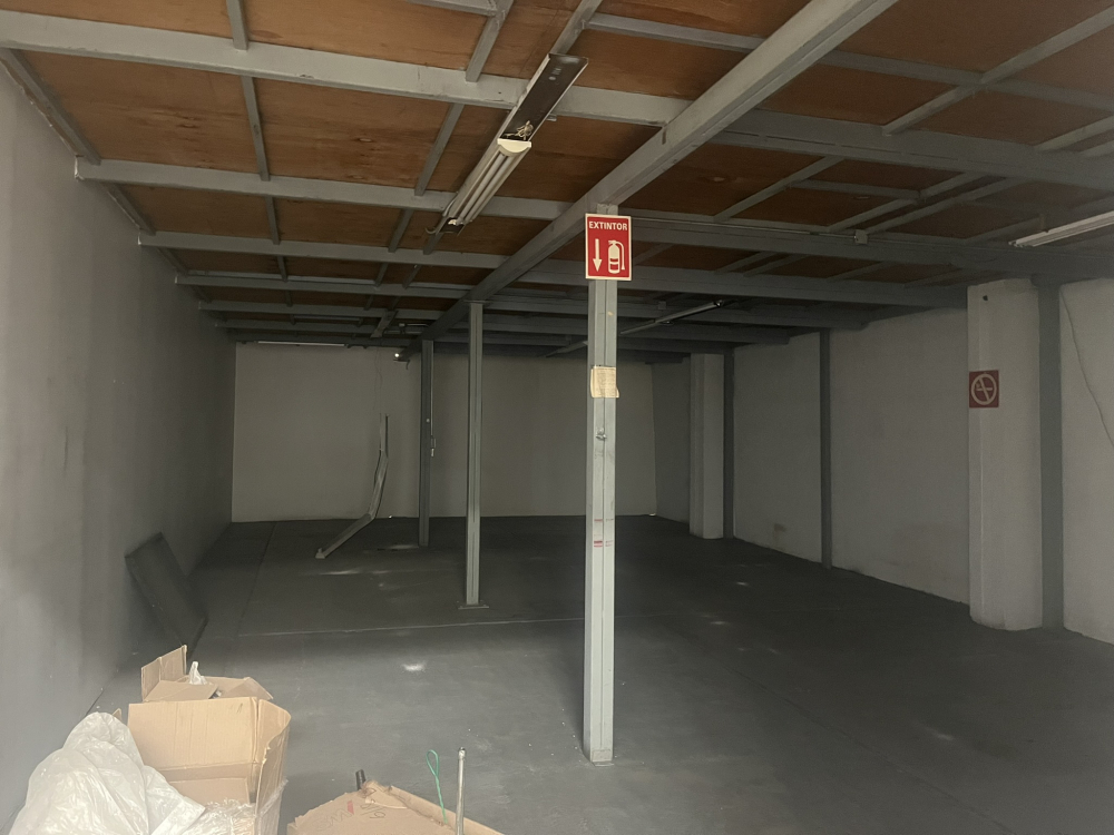 bodega en renta col pensil lago wetter