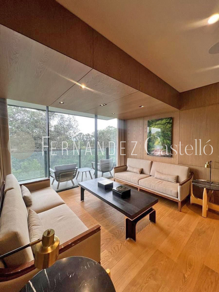 renta departamento amueblado, rubén darío , polanco, miguel hidalgo