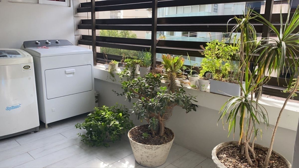 departamento en renta en lomas de chapultepec