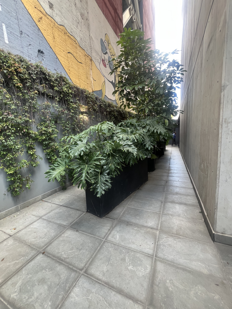 departamento en renta en polanco