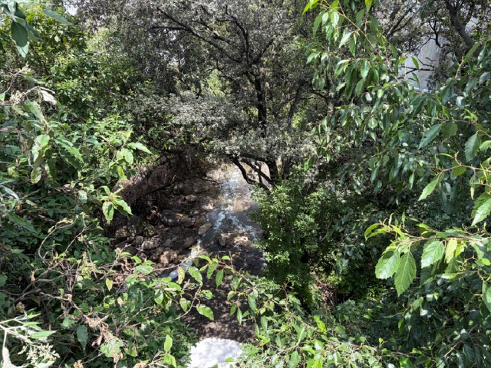 terreno en venta en bosque real