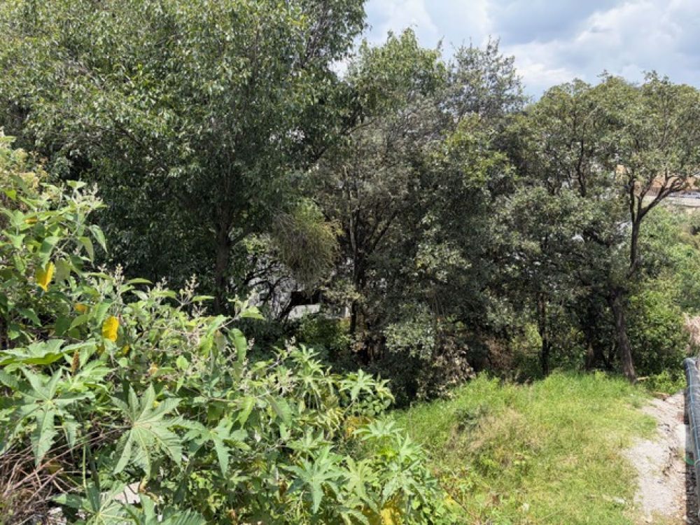terreno en venta en bosque real