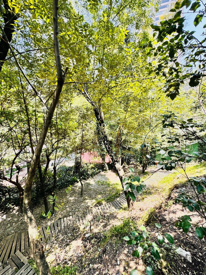 casa en condominio en venta en lomas de las palmas
