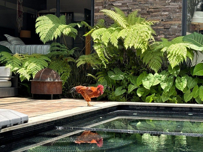 casa cinco