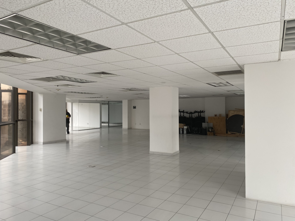 oficina en renta horacio polanco