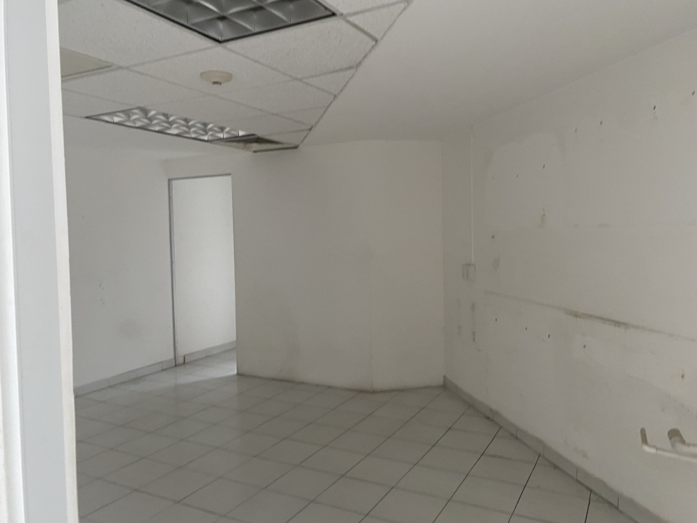 oficina en renta horacio polanco