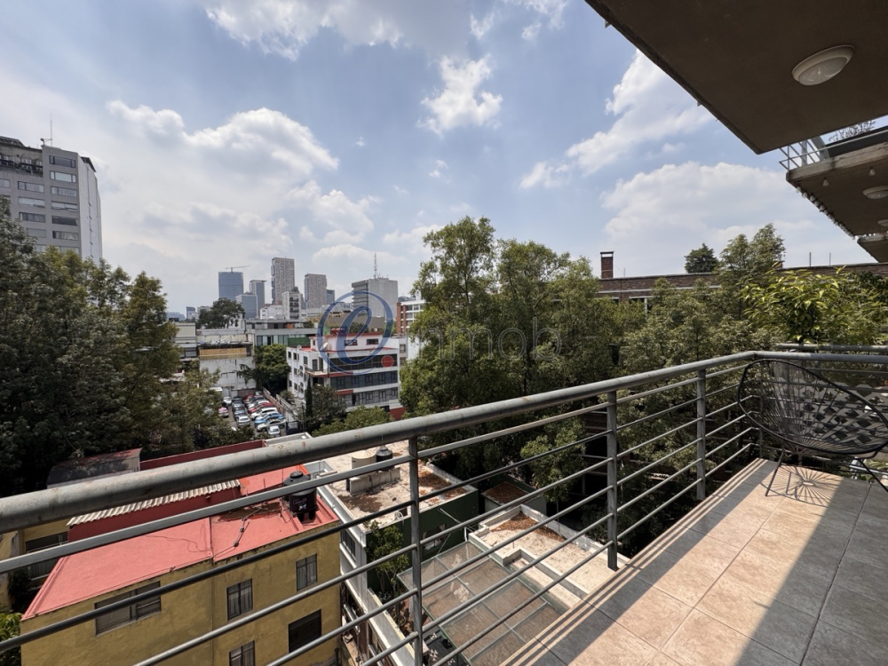 Departamento En Renta En Polanco