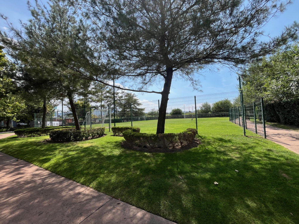 casa en venta 4 habitaciones los castaños zapopan