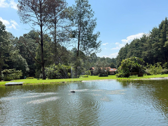 casa en renta con bosque, jardin y lago propio