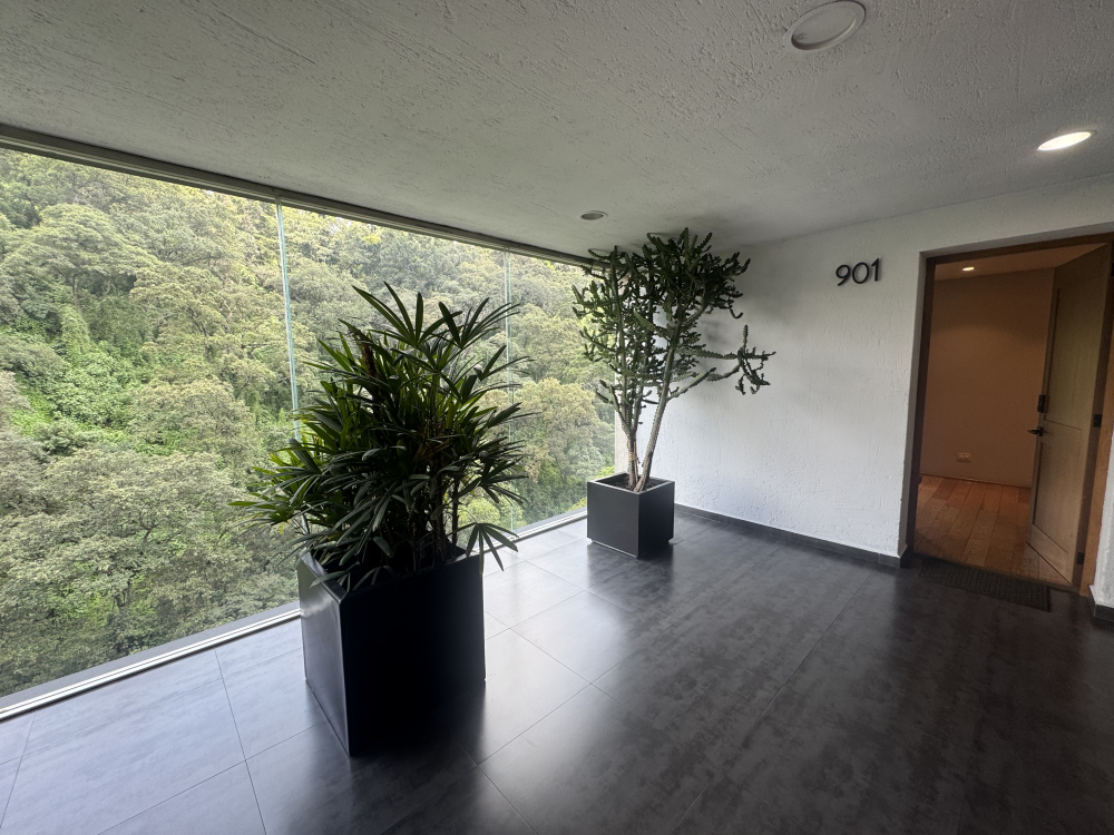 Departamento En Renta En Bosques De Las Lomas 