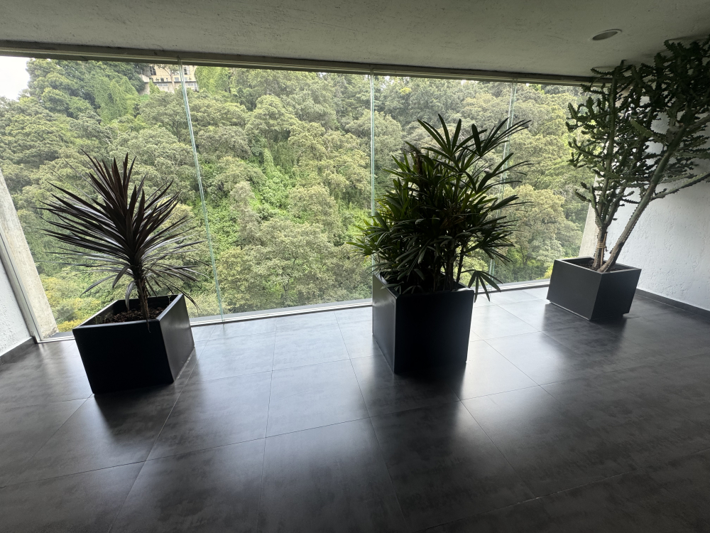 Departamento En Renta En Bosques De Las Lomas 