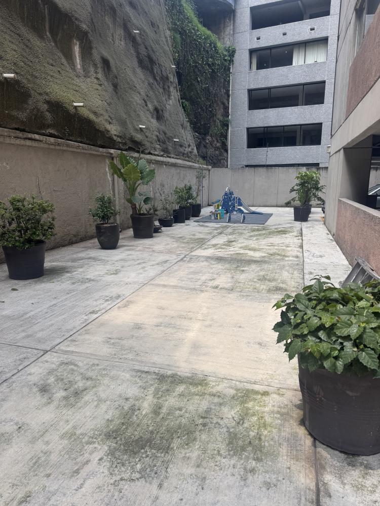 Departamento En Renta En Bosques De Las Lomas 