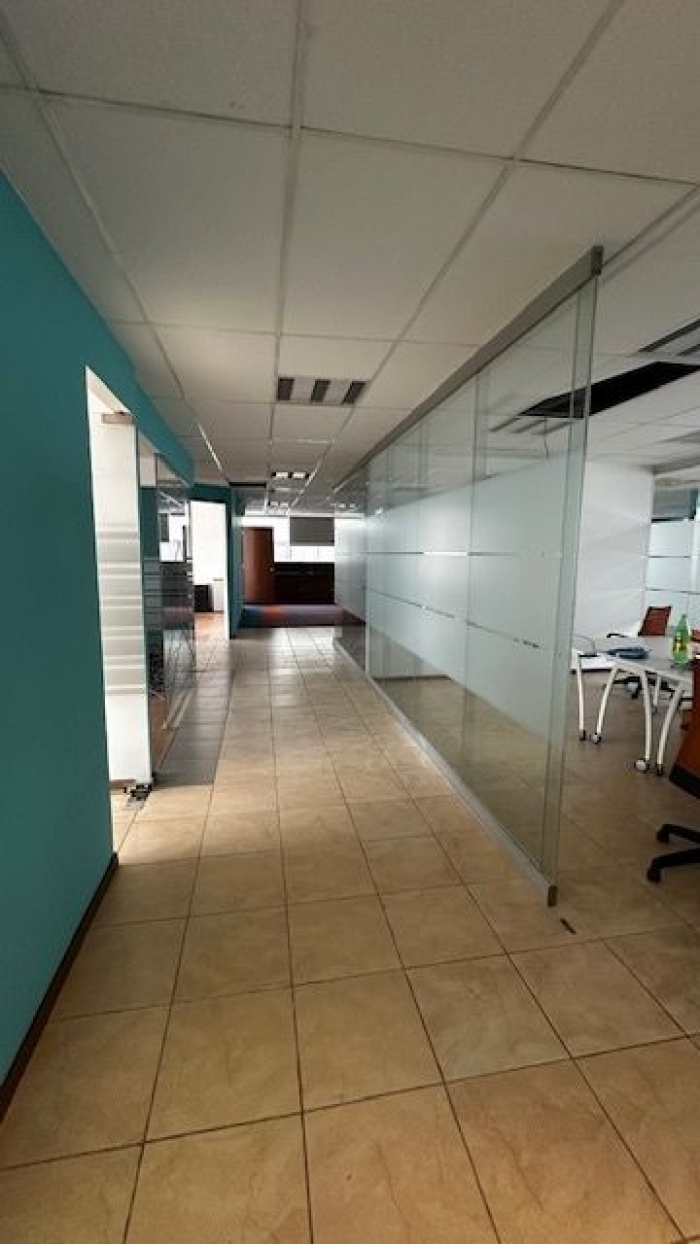 Polanco, Homero, Oficinas 10 Y 11 Adaptadas En Venta