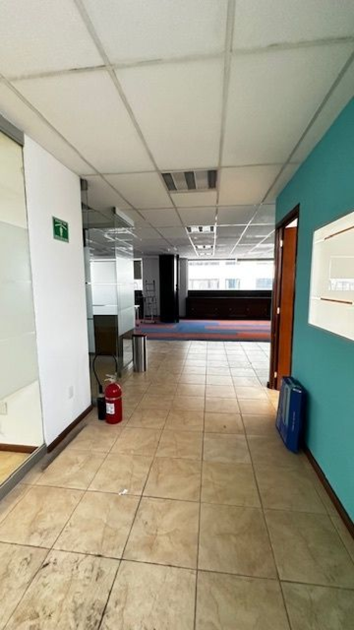 Polanco, Homero, Oficinas 10 Y 11 Adaptadas En Venta