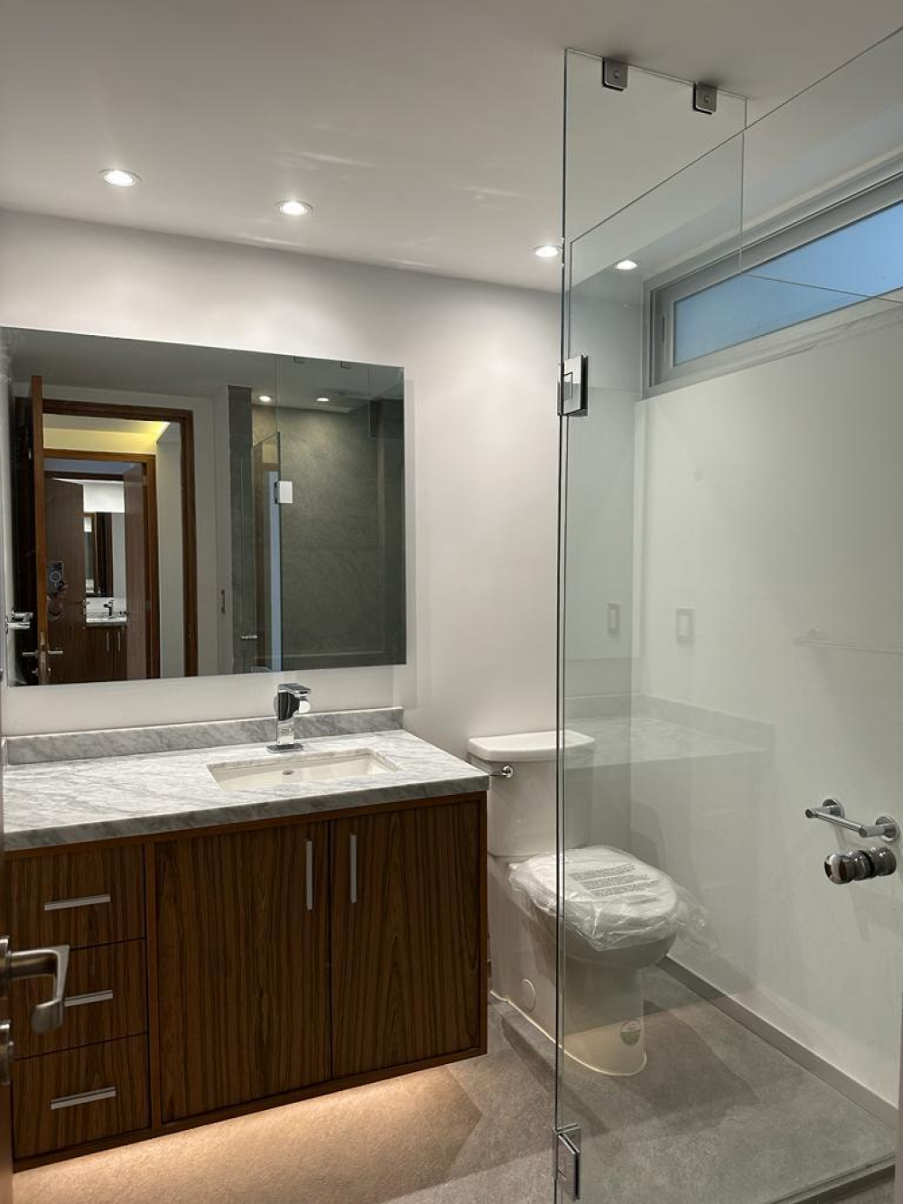 departamento en renta en campos elíseos