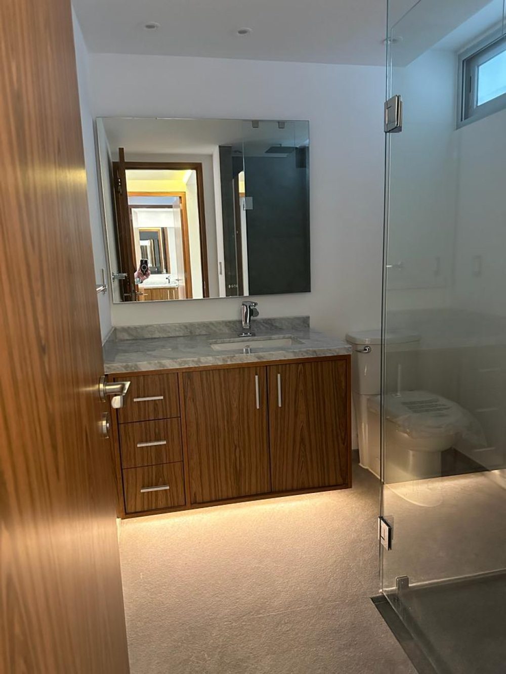 departamento en renta en campos elíseos