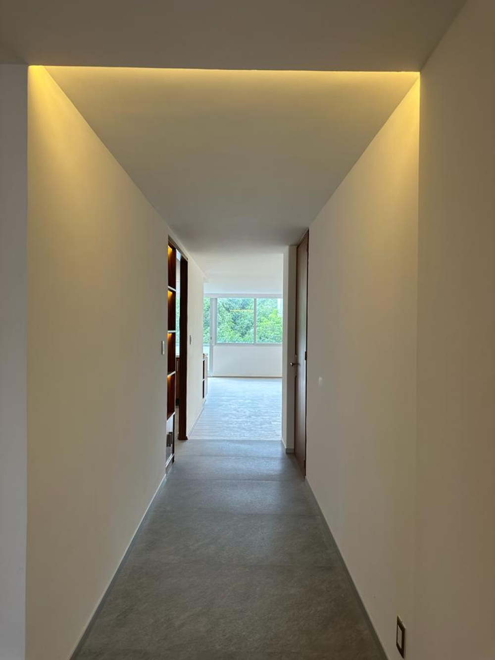departamento en renta en campos elíseos