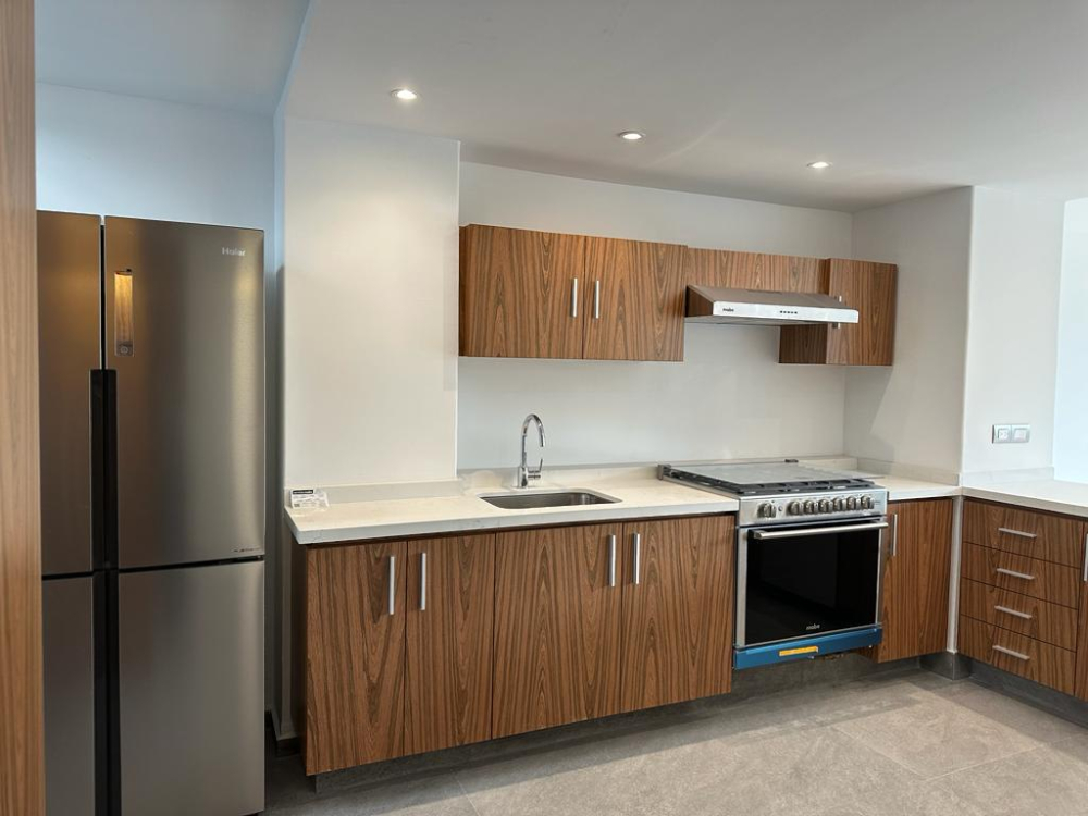 departamento en renta en campos elíseos