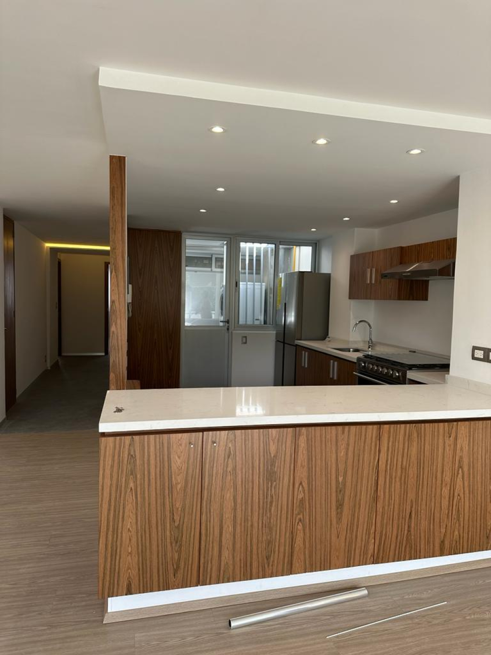 departamento en renta en campos elíseos