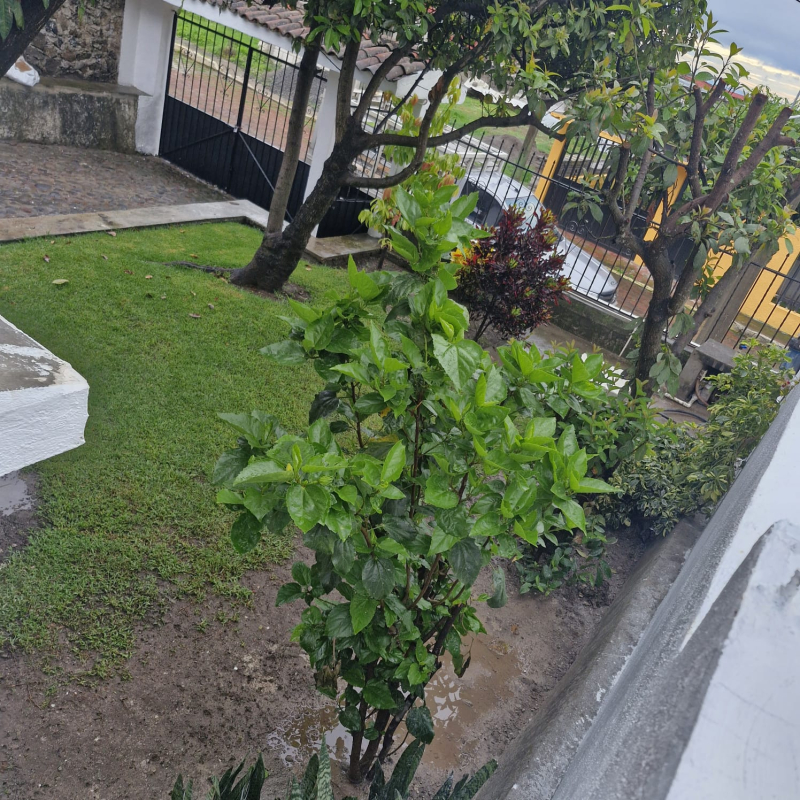  se vende casa en fraccionamiento hacienda la alborada atlatlahucan morelos.