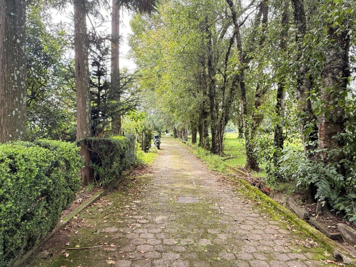 TERRENO EN VENTA EN CLUB DE GOLF, AVÁNDARO