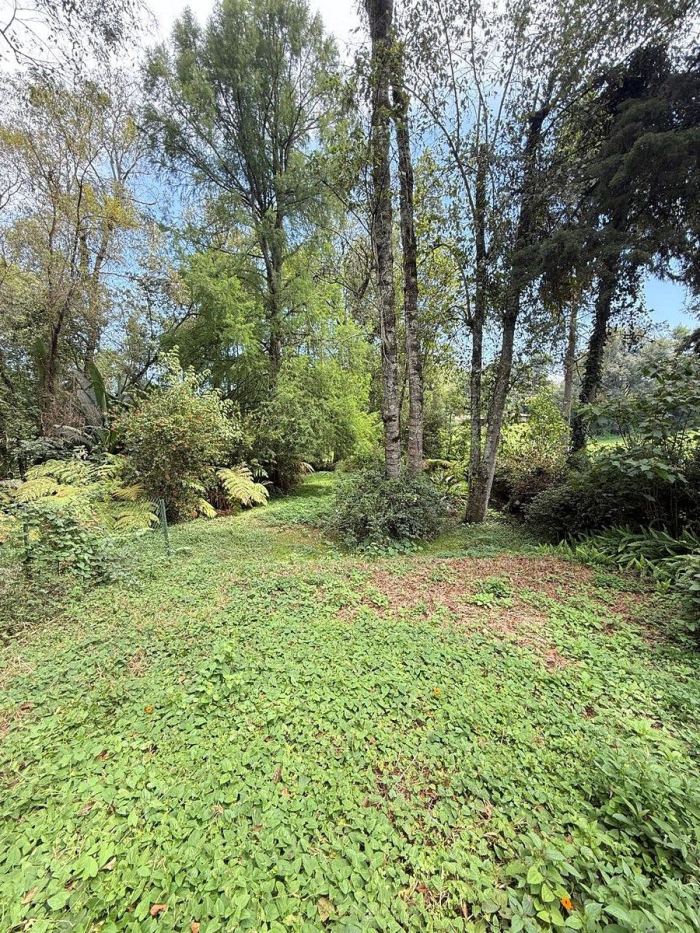 TERRENO EN VENTA EN CLUB DE GOLF, AVÁNDARO