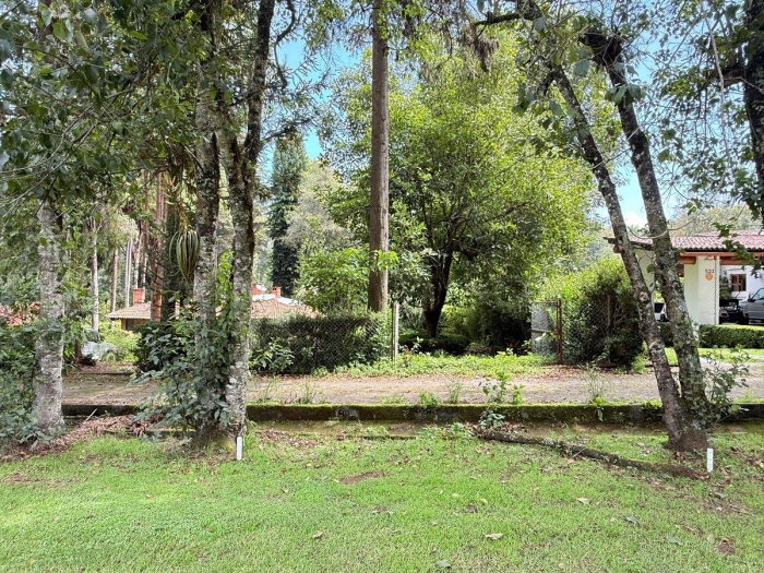 TERRENO EN VENTA EN CLUB DE GOLF, AVÁNDARO