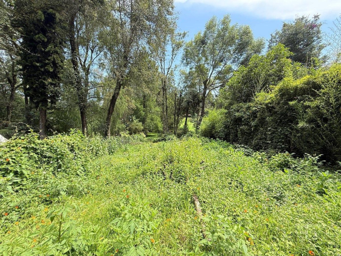 TERRENO EN VENTA EN CLUB DE GOLF, AVÁNDARO