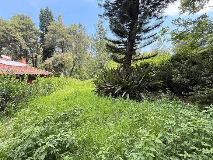 TERRENO EN VENTA EN CLUB DE GOLF, AVÁNDARO