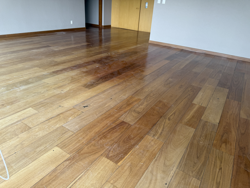 Departamento En Renta Cumbres Santa Fe